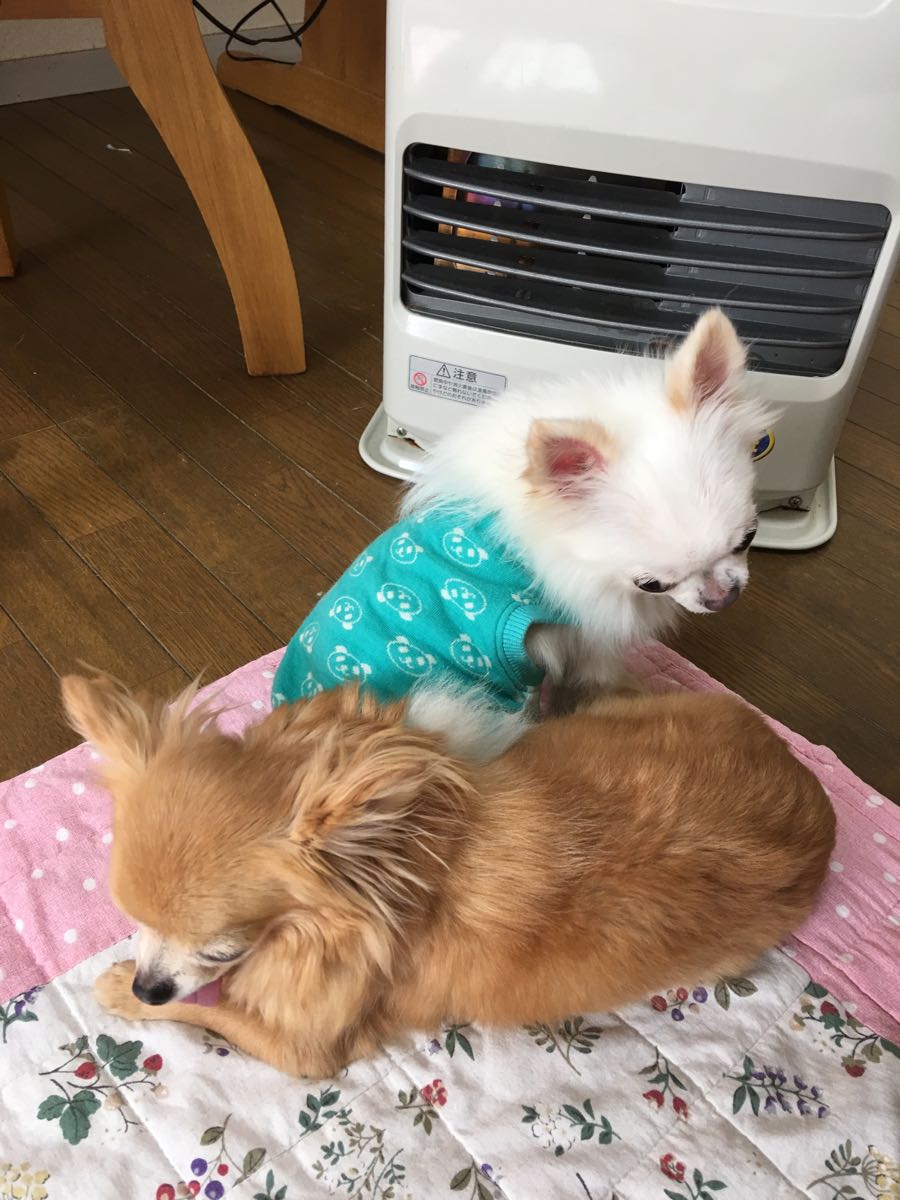 rblog-20181123192951-02.jpg