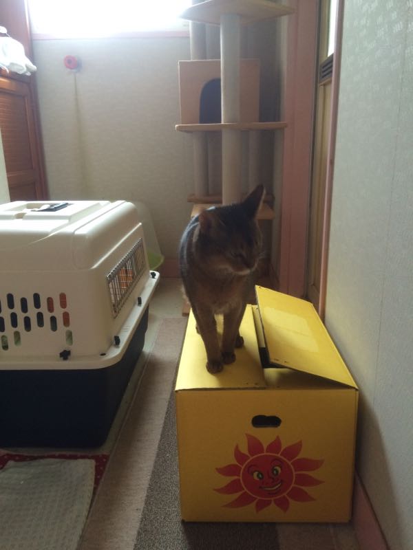 rblog-20150425152037-03.jpg