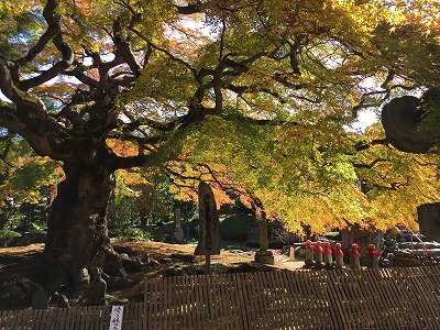 六地蔵と紅葉。