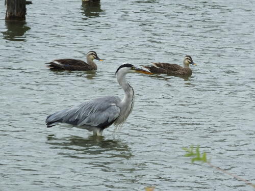 小池公園にて