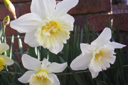 20160414007.JPG
