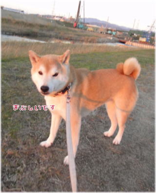 夕方1.jpg