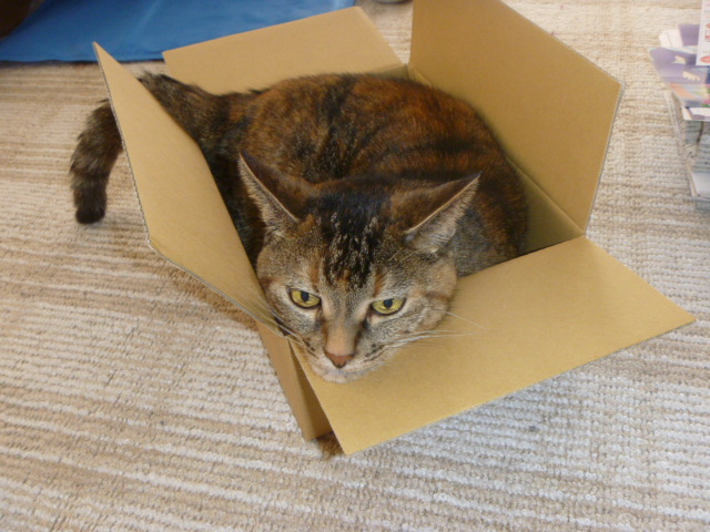 でじかめ 255.jpg