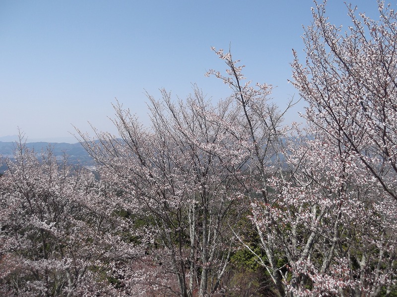 DSCF1520.jpg