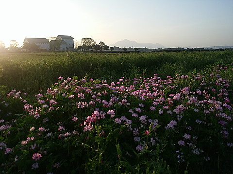 IMG_20160414_181056.jpg