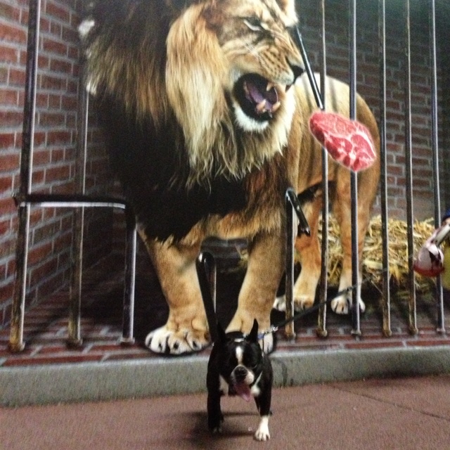 rblog-20130609112847-01.jpg