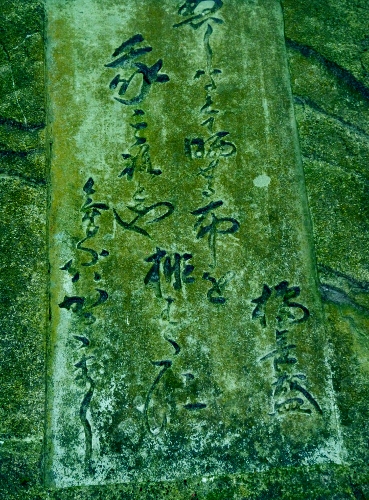 109 (369x500).jpg