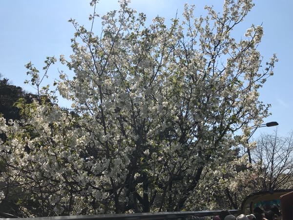 rblog-20170405192255-10.jpg