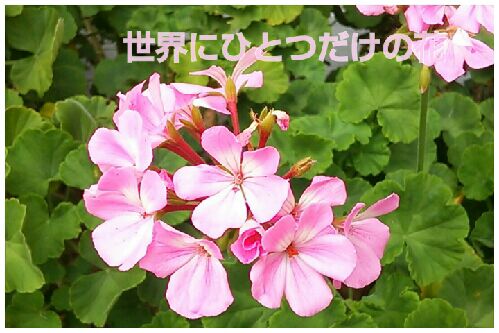 rblog-20160712201805-00.jpg