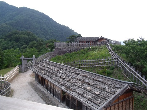 DSCF0481.JPG