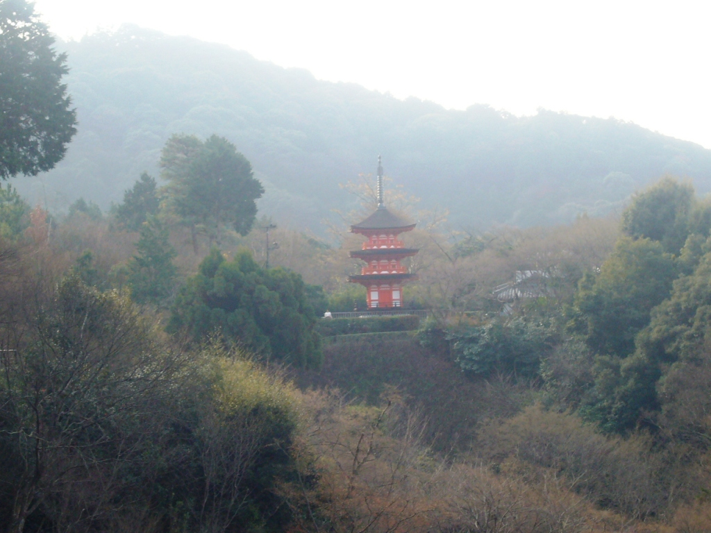 P1170265-.jpg