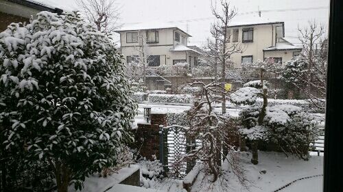 rblog-20170115214936-01.jpg