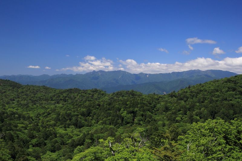 大台ケ原_003.jpg