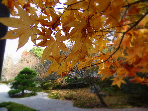 2012120204