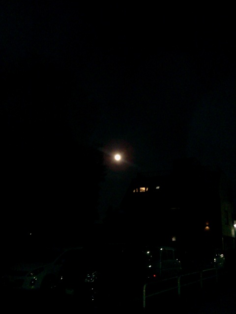 2012-05-06 20.39.34.jpg