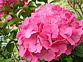 IMG_3950.JPG