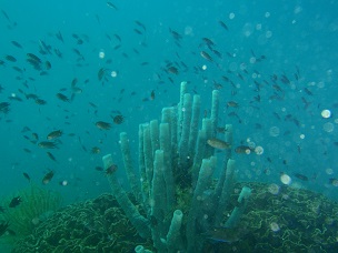 PA279646.JPG