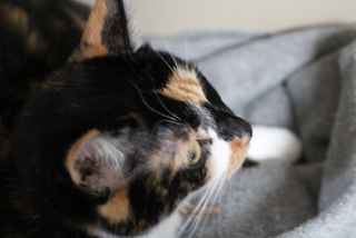 HNI_0003 2013-01-02 22-006.JPG