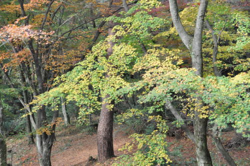 寺家公園