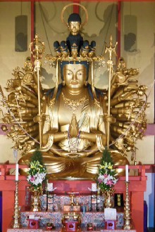 DSCN1339.jpg