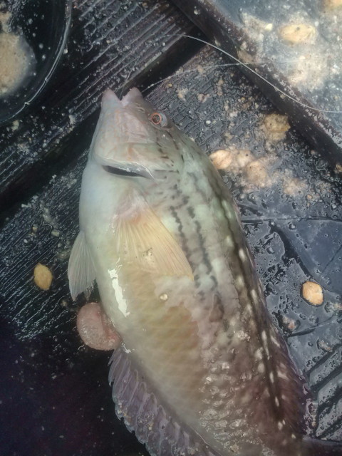 20120818091236.jpg