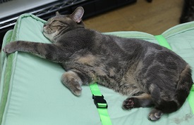 5DA_7381-7.jpg