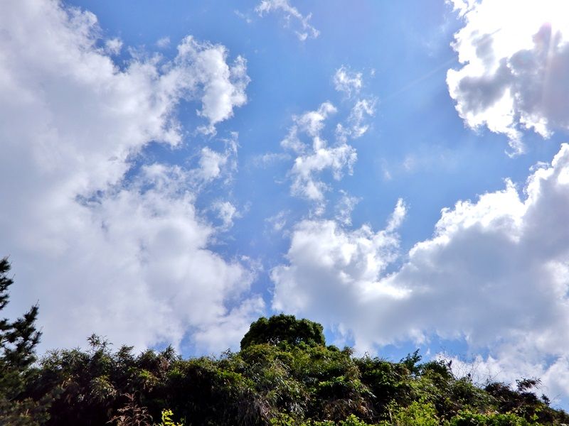 空2
