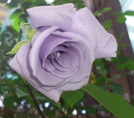 DSC_3686.JPG