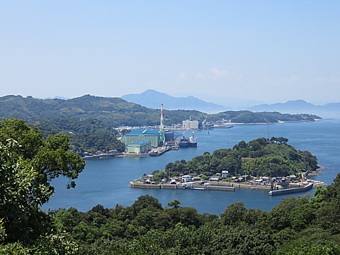 IMG_4480.jpg