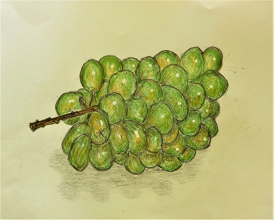 葡萄.JPG