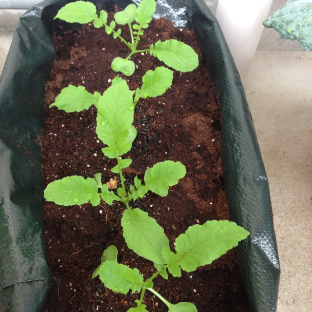 rblog-20131024153906-01.jpg
