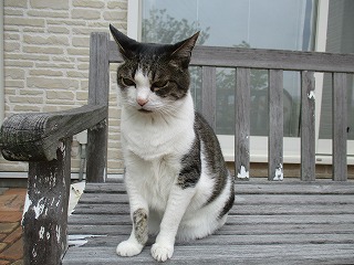 IMG_0387ss.jpg