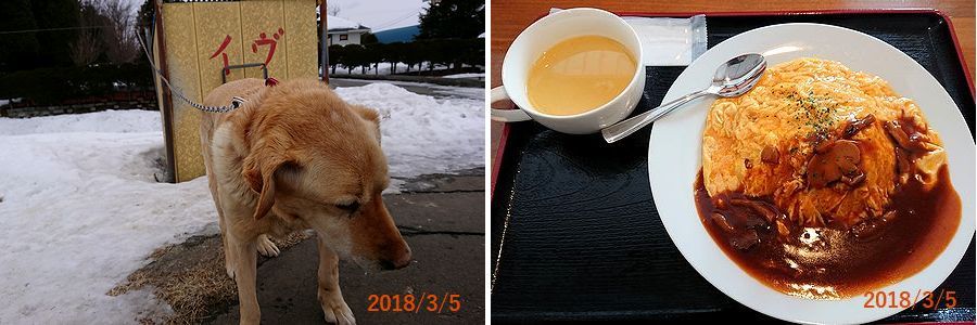 ３／５いつものオムライス.jpg