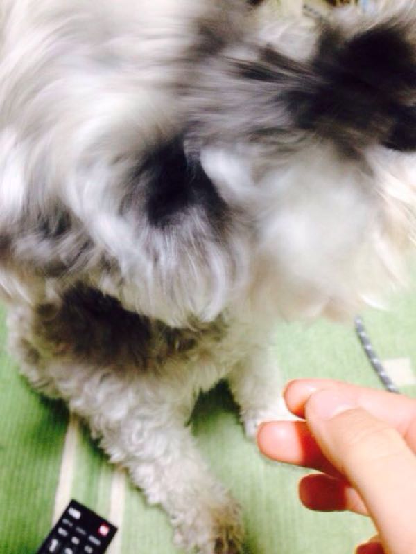 rblog-20151112225723-02.jpg
