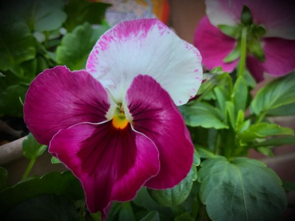 rblog-20161128164756-08.jpg