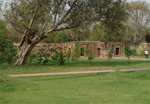 インド984.jpg