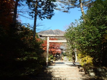 kinntoki6