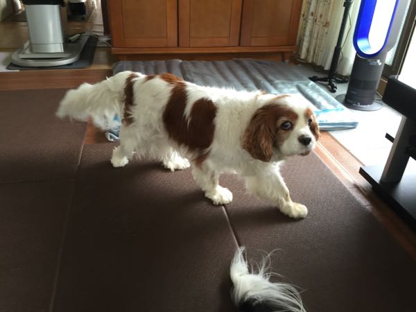 rblog-20160828102410-04.jpg