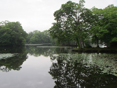 大沼公園８.jpg