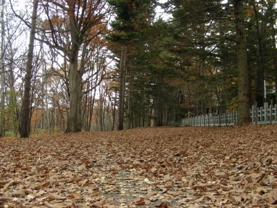 uramichi-futari (1).JPG