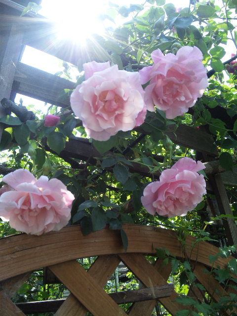 DVC00046.jpg