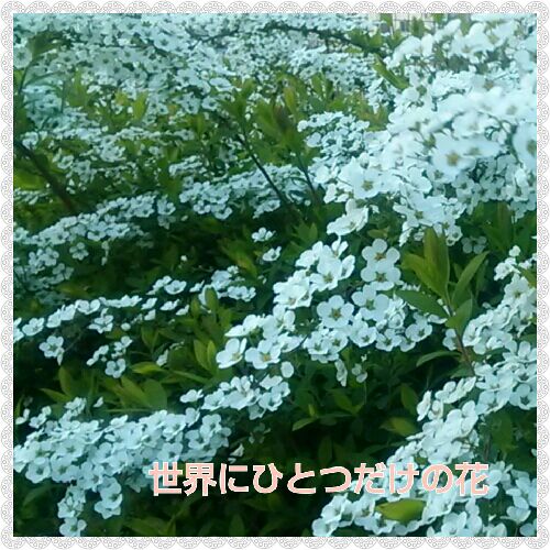 rblog-20160325183246-00.jpg