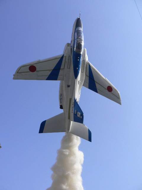 P1060011.jpg