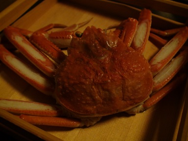 DSC02825.JPG
