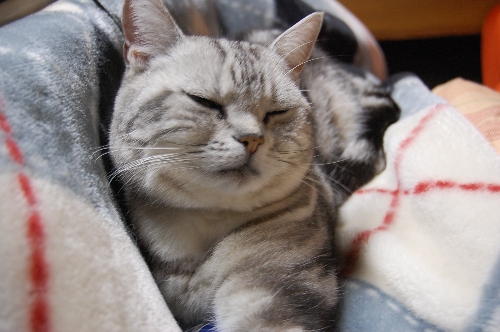 DSC_0010.JPG