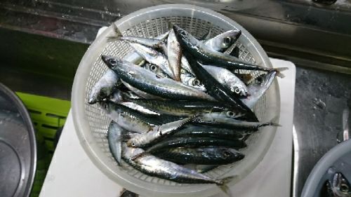rblog-20180429142241-02.jpg