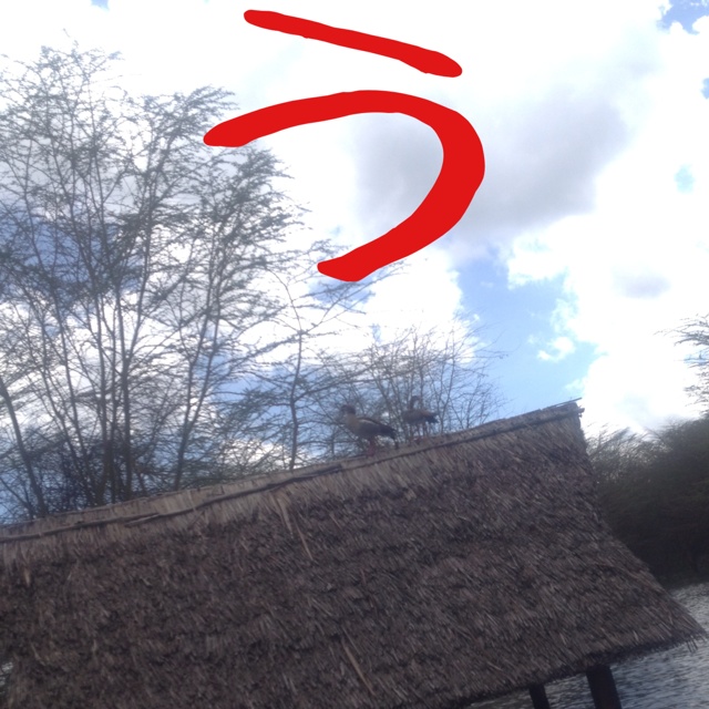 rblog-20130617093828-03.jpg