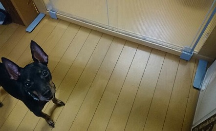 1411577608236.jpg
