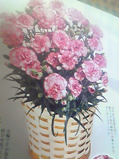 201205131405000.jpg