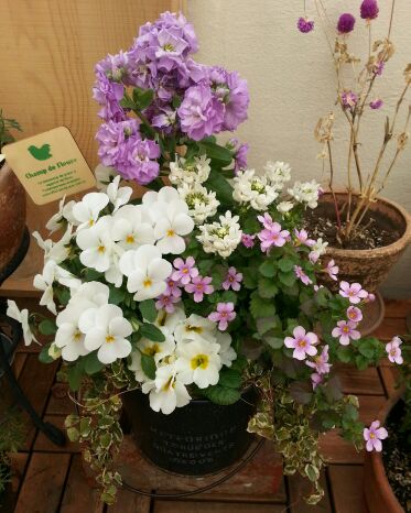 rblog-20140624000818-01.jpg